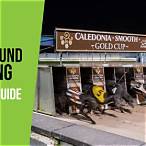 bet on greyhounds racing